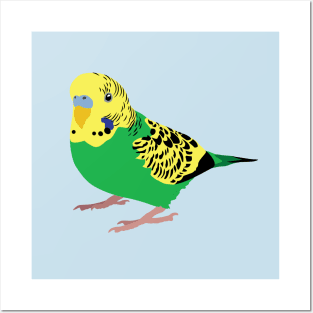 Green Budgie Posters and Art